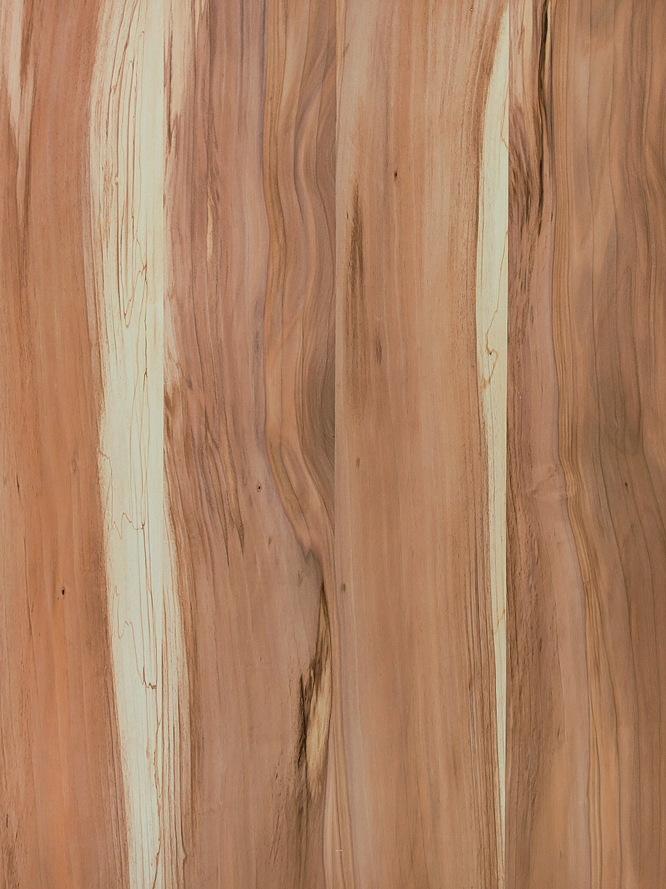 レッドガムラフ